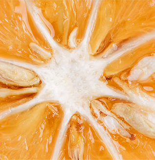 Close-up of a sliced orange showing juicy interior and seeds.